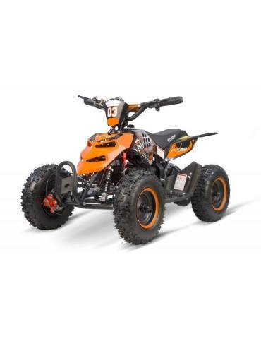 Équipement électrique pour enfants Eco REPTI 800w 36v 2 