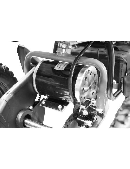 Trivelli elettrici Eco Torino BASIC 1000w 48v 13 