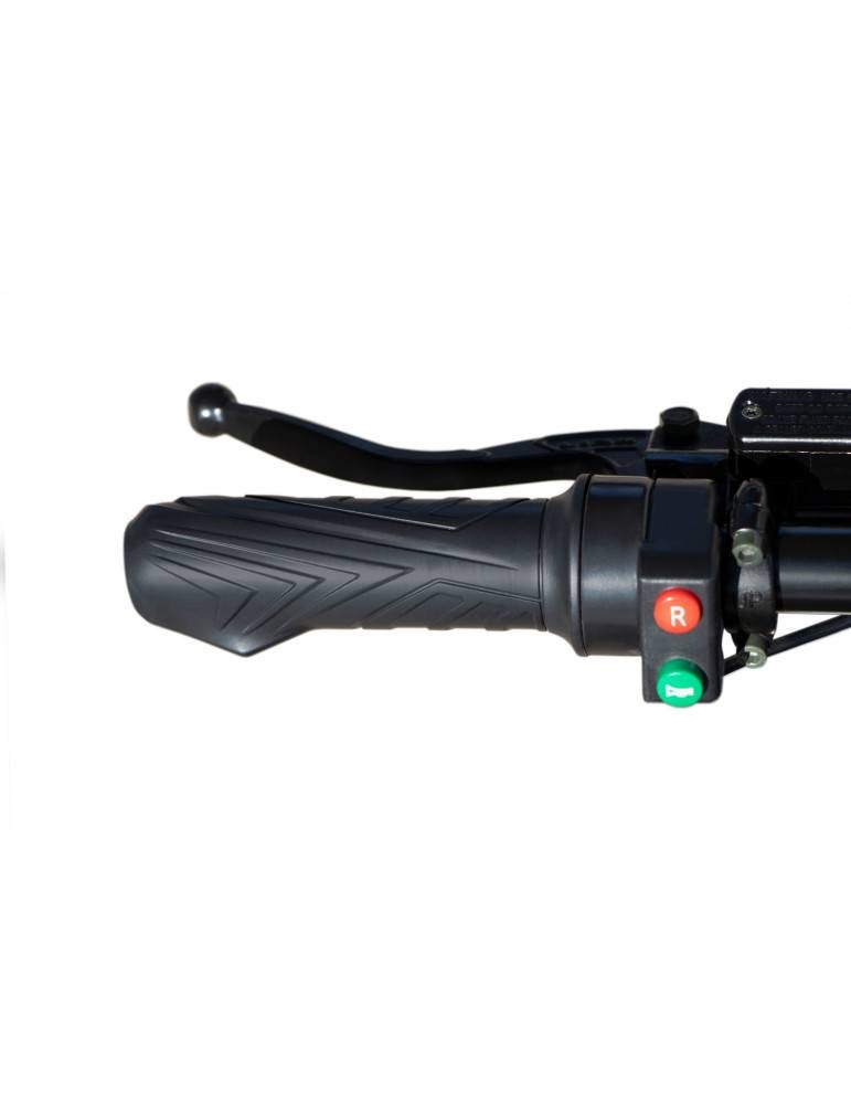 Quad eléctrica infantil Eco Replay XXL Deluxe 1500W 48V 