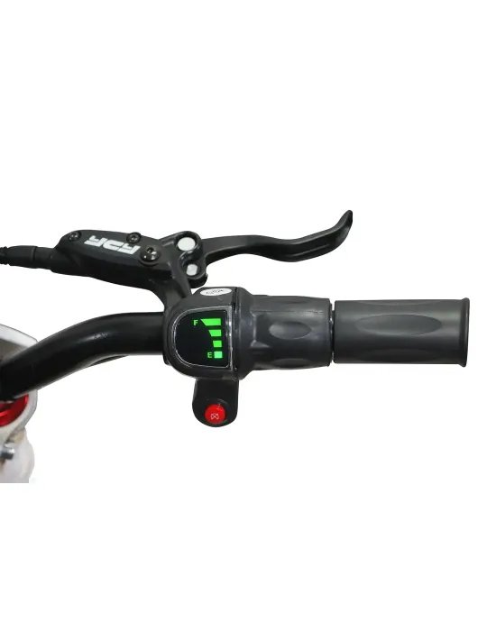 Motocross elettrico per bambini Eco TIGER DELUXE 1100w 36v 10AH LITIO 18 