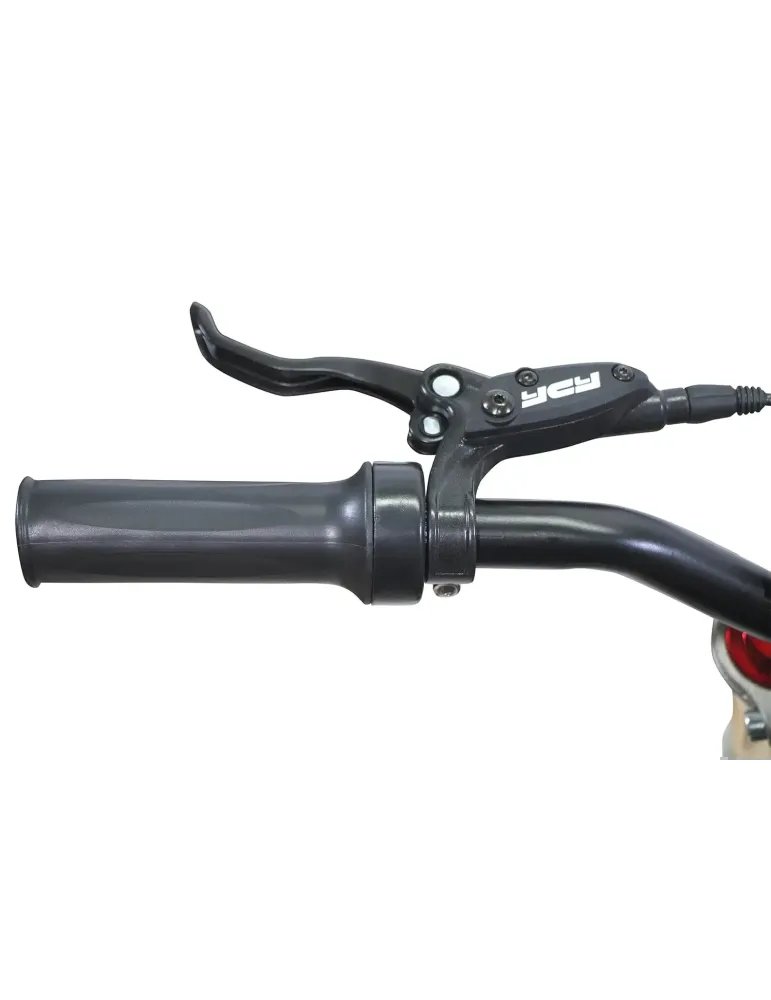 Motocross électrique enfant Eco TIGER DELUXE 1100w 36v 10AH LITIO 19 