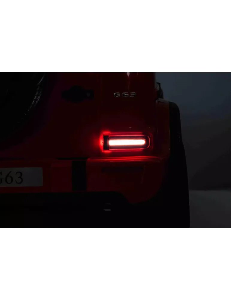 Coche eléctrico infantil Mercedes-Benz G63 AMG 4x4² | Biplaza y 12V 