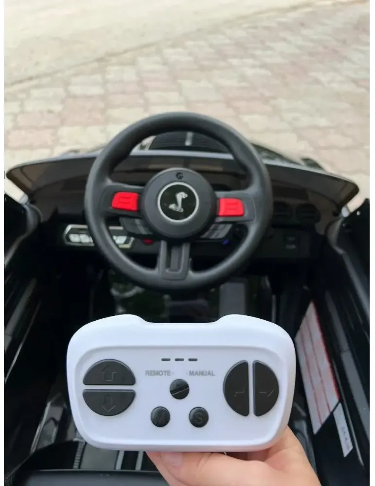  CARROS ELÉTRICOS PARA CRIANÇAS 