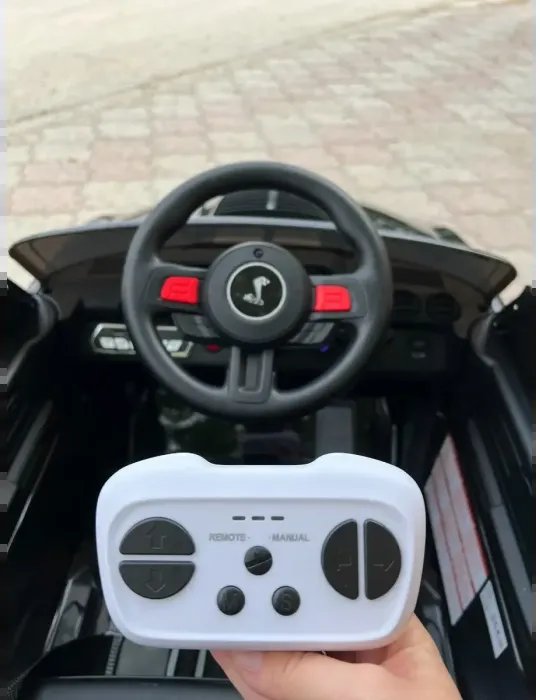  CARROS ELÉTRICOS PARA CRIANÇAS 