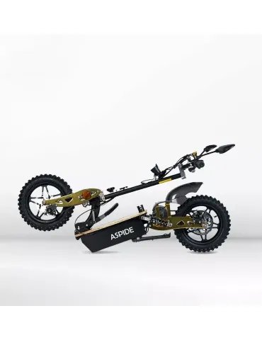 Electric Scooter or Electric Skateboard Wooden 2000W with Seat 1  2