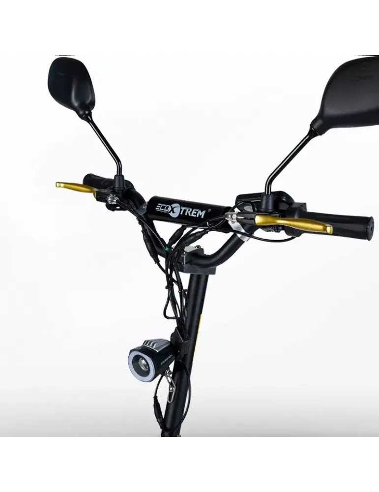 Scooter elettrico o Skateboard elettrico in legno 2000 W con sedile 3 