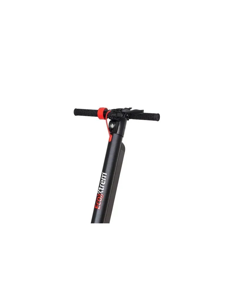 Scooter elettrico con batteria Panasonic - 350 w - 7 