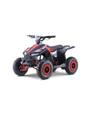 Quad électrique pour enfants HIPERFECT 1000W 48V 3 