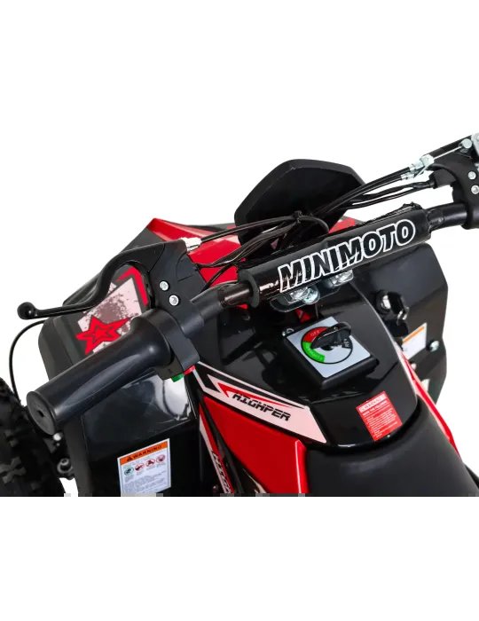 Children's Electric Quad HIPERFECT 1000W 48V 27 