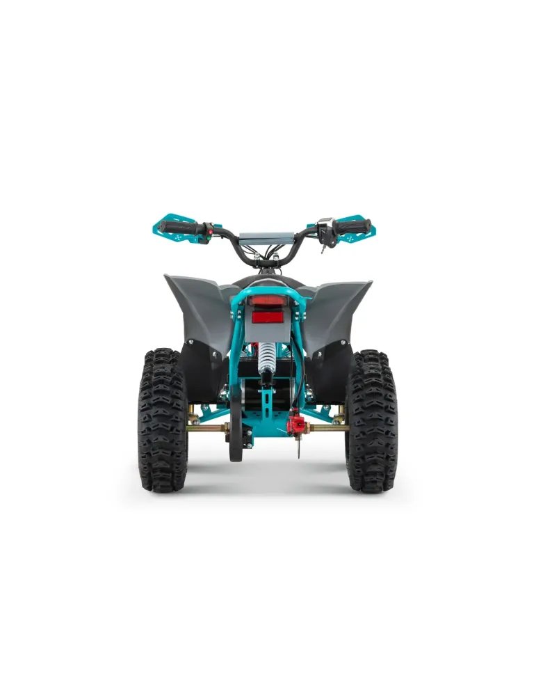 Replay Sport Snowy - Quad Eléctrico 1200W para Terrenos Nevados 