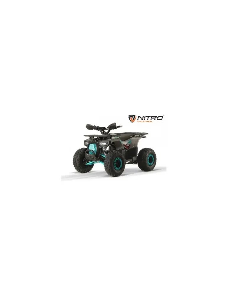 Quad elettrico per bambini DUSTRIDER SPORT 1000W 48v R8 13 