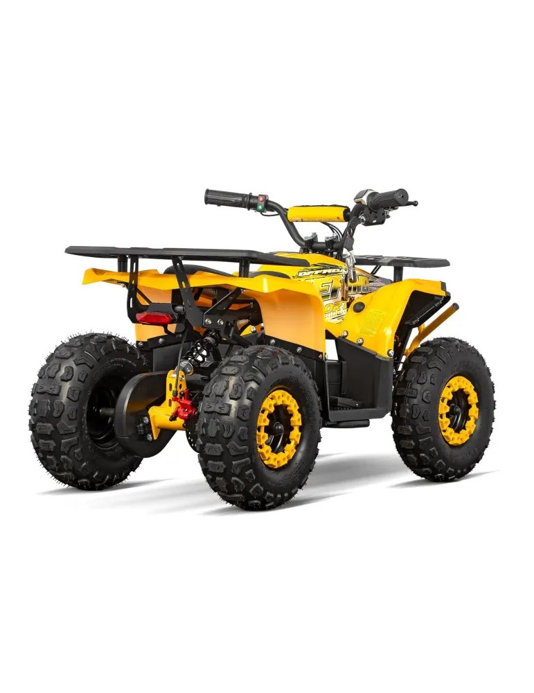 Eco Nerino Sport - Buggy Eléctrico Infantil con Motor 1000W 