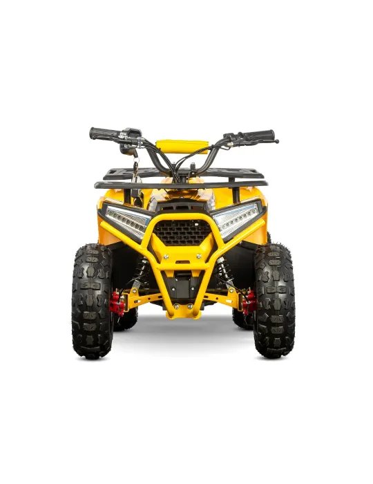 Eco Nerino Sport - Buggy Eléctrico Infantil con Motor 1000W 