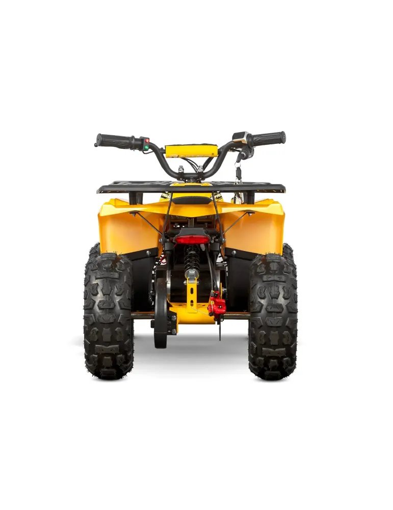 Eco Nerino Sport - Buggy Eléctrico Infantil con Motor 1000W 