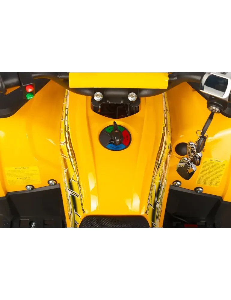 Eco Nerino Sport - Buggy Eléctrico Infantil con Motor 1000W 