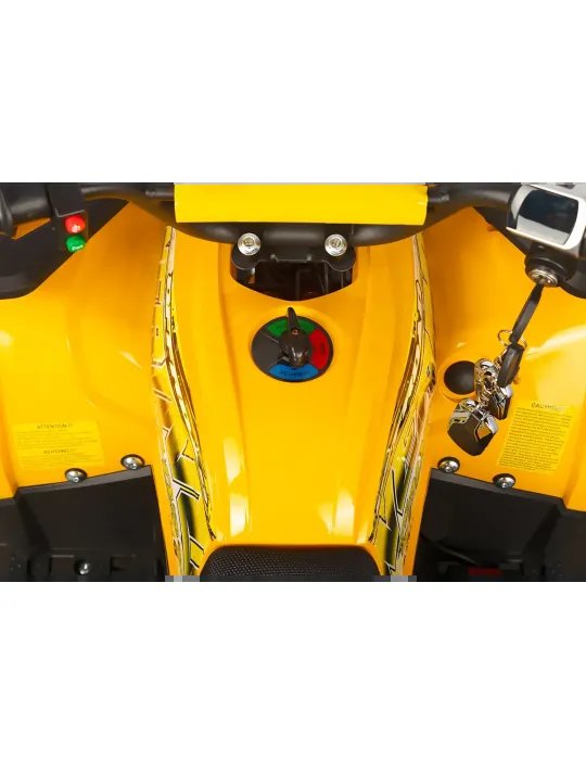 Eco Nerino Sport - Buggy Eléctrico Infantil con Motor 1000W 