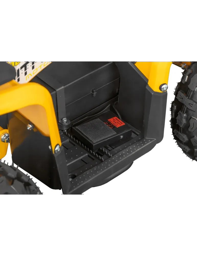 Eco Nerino Sport - Buggy Eléctrico Infantil con Motor 1000W 