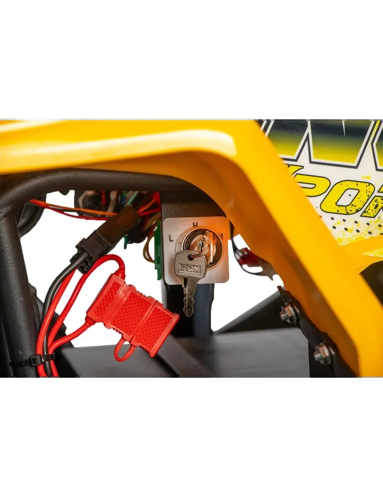 Eco Nerino Sport - Buggy Eléctrico Infantil con Motor 1000W 