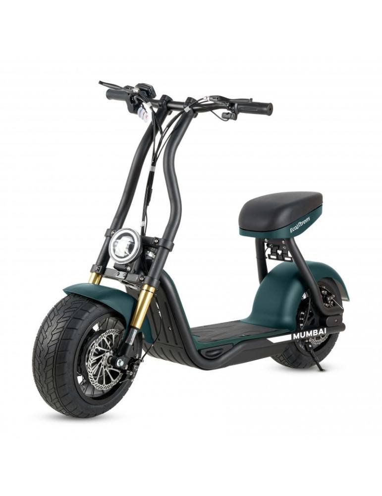 Moto eléctrica 1000W - Maverick H10 