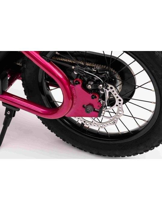 Baigor 23 Pro Electric Bike with Motor 15 