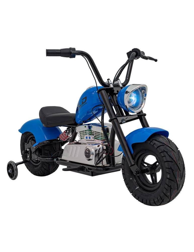 Moto elettrico del guerriero 36V 350W dei bambini con ruote gonfiabili 9 
