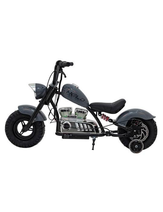 Moto elettrico del guerriero 36V 350W dei bambini con ruote gonfiabili 35 