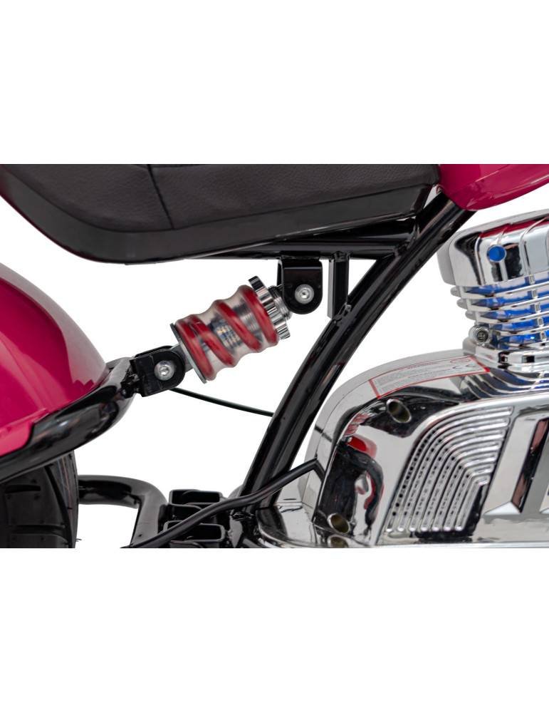 Moto elettrico del guerriero 36V 350W dei bambini con ruote gonfiabili 75 