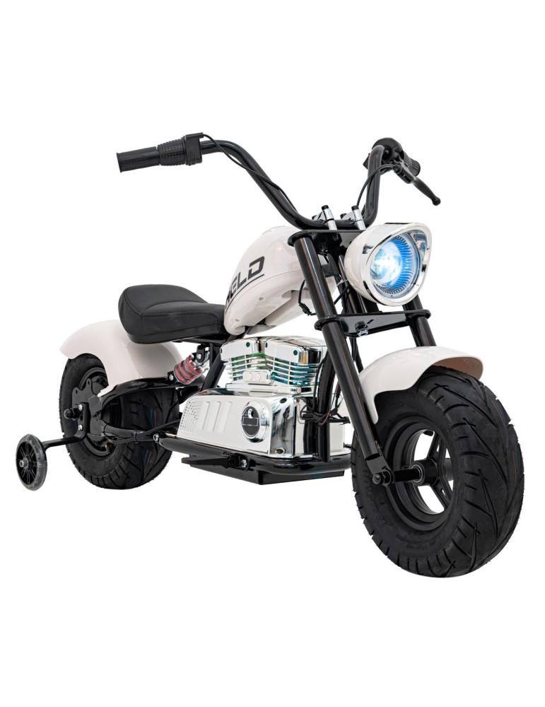 Moto elettrico del guerriero 36V 350W dei bambini con ruote gonfiabili 81 